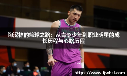 陶汉林的篮球之路：从青涩少年到职业明星的成长历程与心路历程